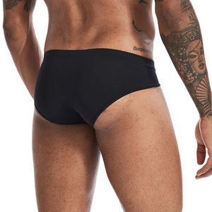 Big Pouch High Cut Sheer Briefs