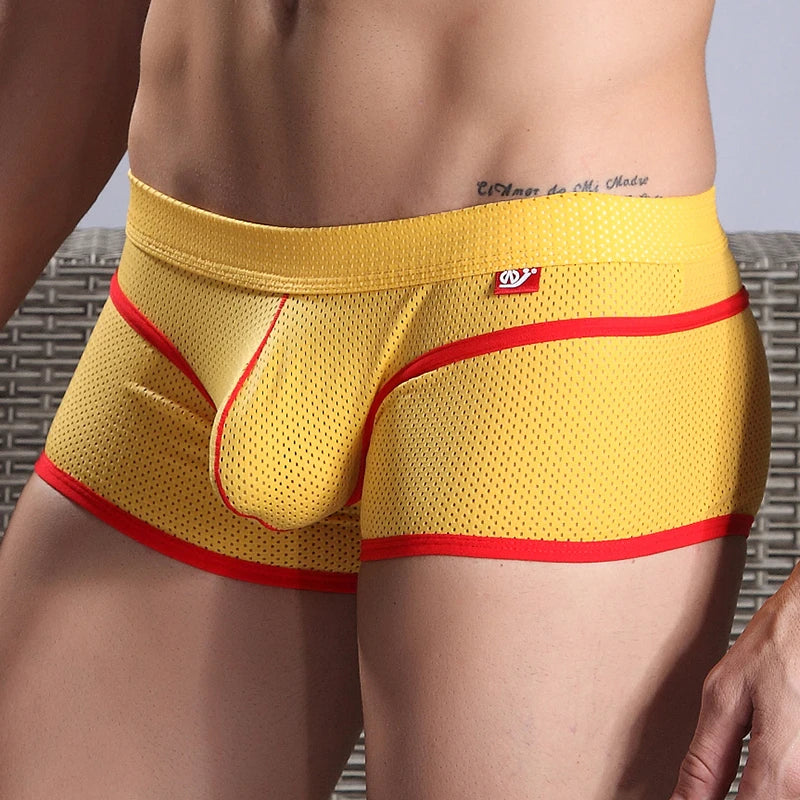 Short Mesh Trunks