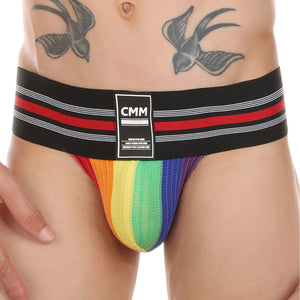 Rainbow Wide Belt Bikini Briefs