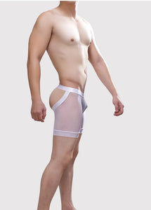 Sheer Backless Boxer Briefs