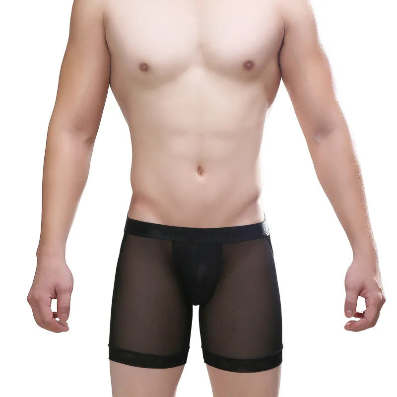 Sheer Backless Boxer Briefs